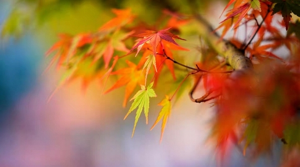 �����P�ļt���~��