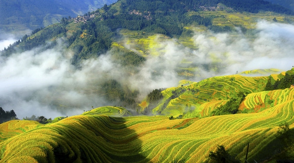 ��ɫ�������箋��