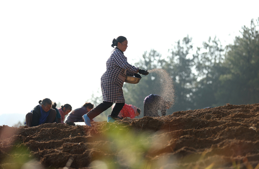 1118Fʡկhd悼_̫ӅNֲʩ