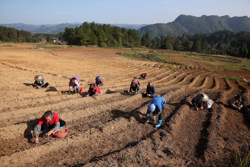 11��18�գ��������F��ʡ��կ�h�d���(zh��n)���_������̫�Ӆ���