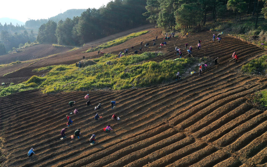 11��18�����������F��ʡ��կ�h�d��悼��_������̫�Ӆ����o�˙C��Ƭ����