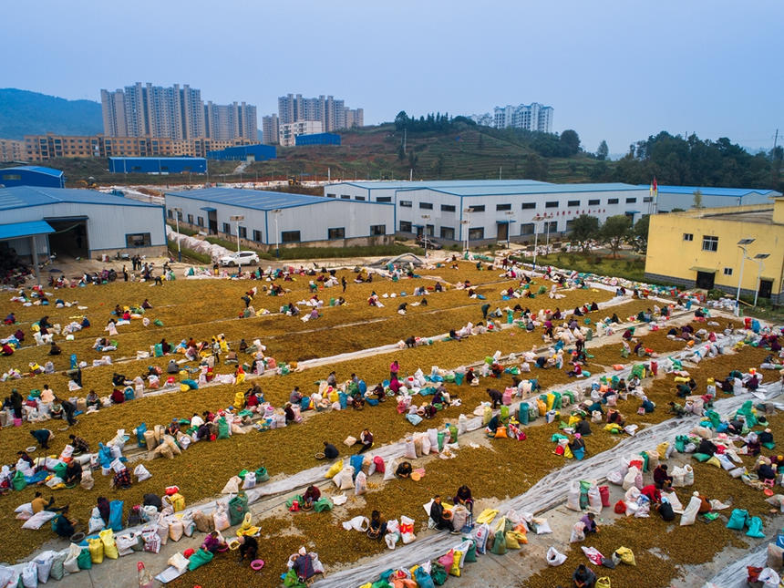 h׵c(din)ԴͲӹS^(q)ڒxͲ