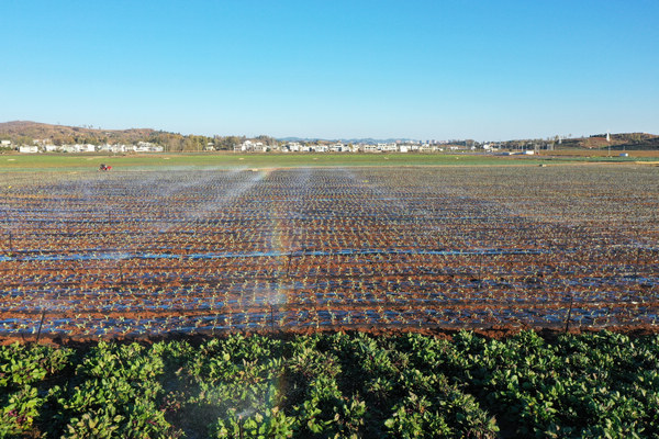 20201119οhݺк^߲˻؇ιࡣFz FʡˮdD