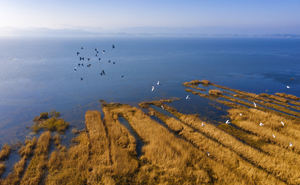 2020129ղݺLˮL^ˮB z FʡˮdD