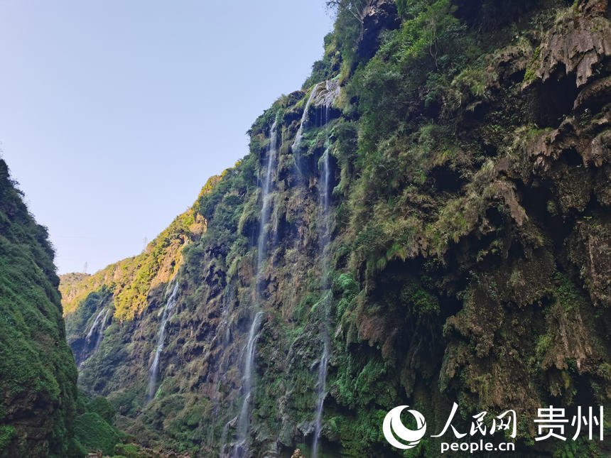 dxRXӍ{ȡW(wng) ꐾz