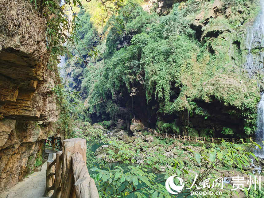 興義馬嶺河峽谷。人民網 陳晶晶攝