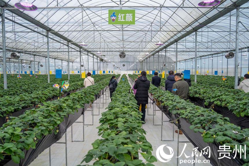 οڲժ^@(ni)ժݮW(wng) Ϳz