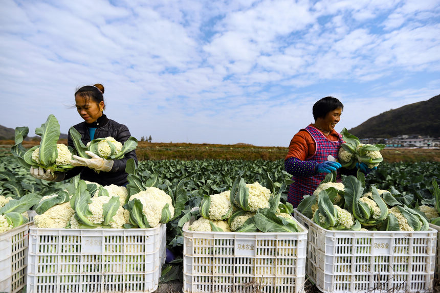 1217գFʡˮοh@߲˷Nֲطbˡ