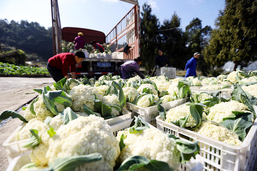 1217գFʡˮοh@߲˷Nֲذѻb܇