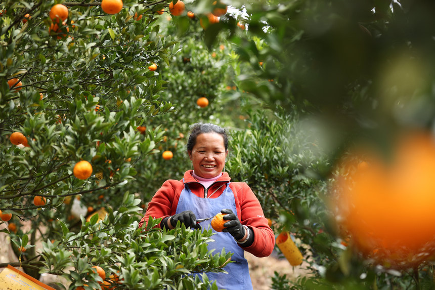 1220գFʡկh{悷ٴո̷Nֲի@ո̡  