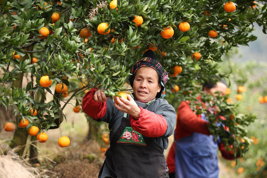 1220գFʡկh{悷ٴո̷Nֲի@ո̡    