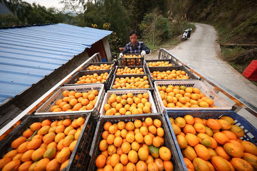 1220գFʡկh{悷ٴո̷Nֲأфի@ėոb܇