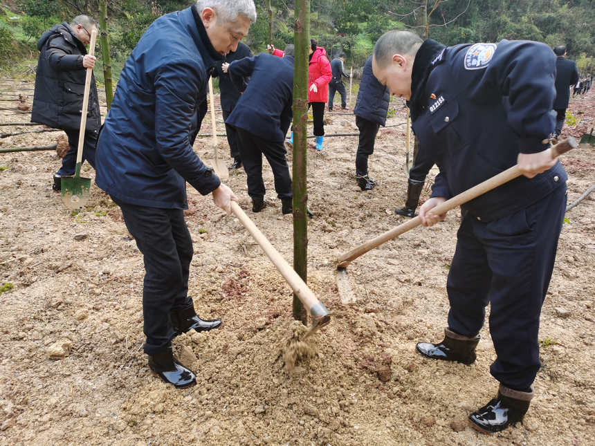 Fݸֲ(sh)(dng)F(xin)(chng)