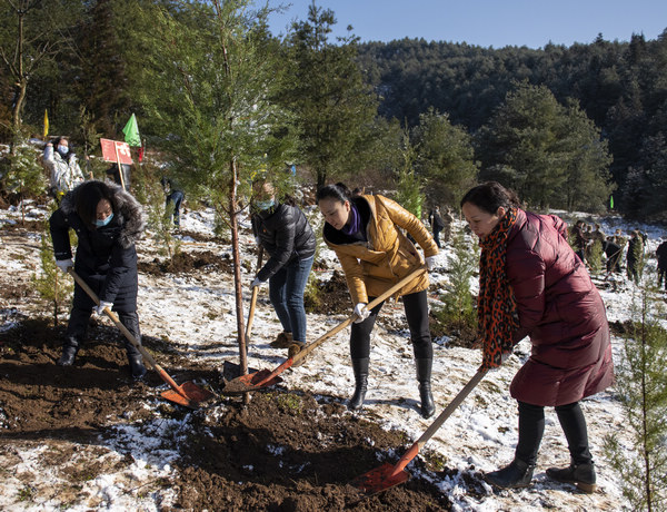 ֲ��F������W�єz