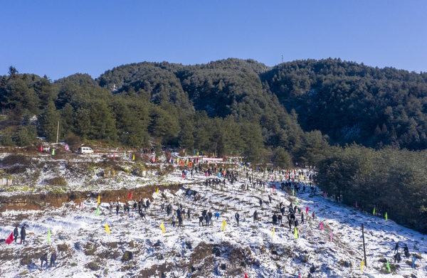 ֲ��F������W�єz