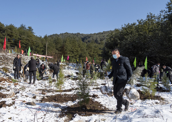 ֲ��F������W�єz