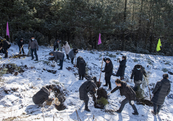 ֲ��F(xi��n)������W(xu��)�єz