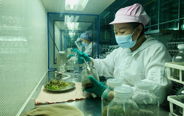 �غӣ���I(y��)��(ji��)���(f��)����(f��)�a(ch��n)��(f��)��æ