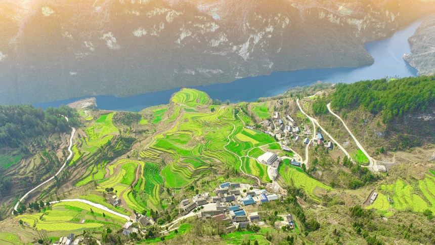 ������ƺ��������˰lչ�l�����Ρ�����o�z