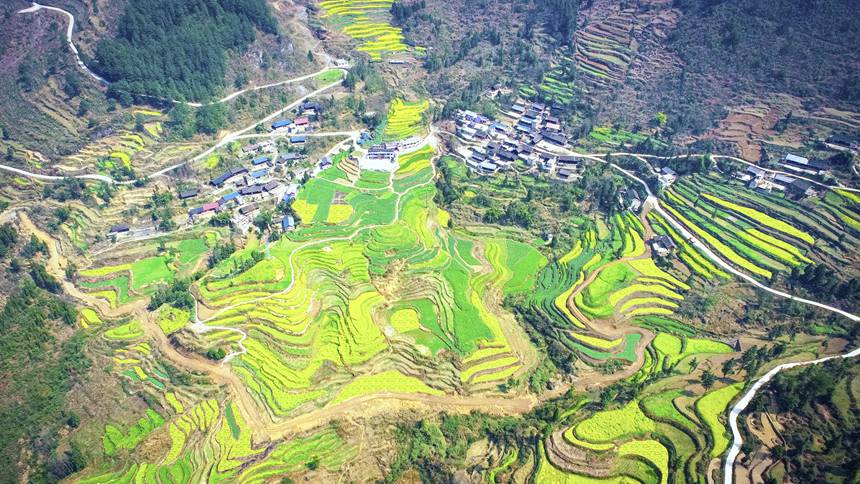 �Ͳ˻��ﱻ����h�@������o�z