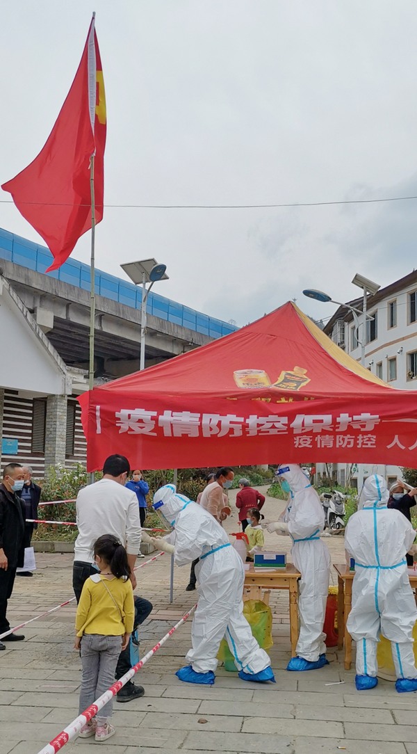 ����z�y�F����