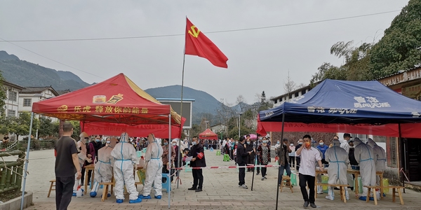 ����z�y�F����