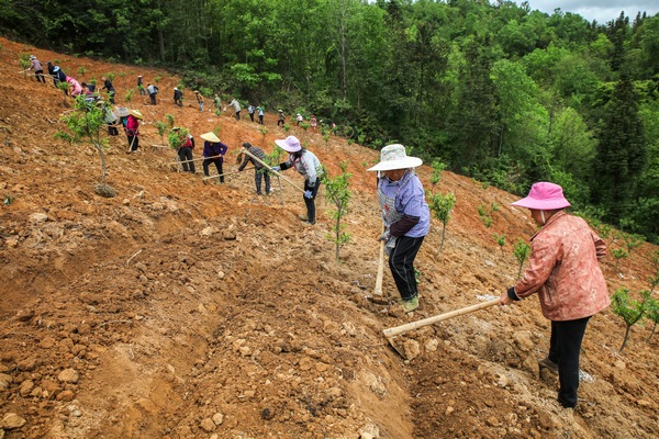 2022��4��13�գ����F��ʡǭ�|�����嶱��������ʩ���hţ���������壬�r���ڹ��@���׷Nħ��