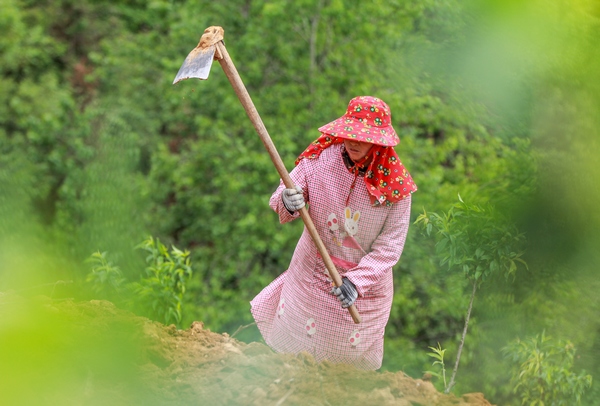 2022��4��13�������F��ʡǭ�|�����嶱��������ʩ���hţ���������壬�r���ڹ��@���׷Nħ��