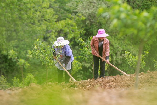 2022��4��13�գ����F��ʡǭ�|�����嶱��������ʩ���hţ���������壬�r���ڹ��@���׷Nħ��