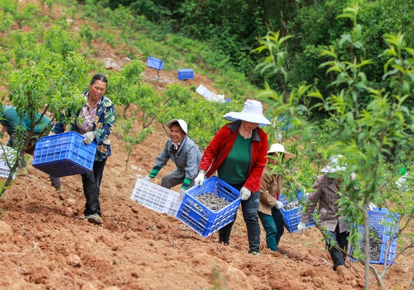 2022��4��13�գ����F��ʡǭ�|�����嶱��������ʩ���hţ���������壬�r���ڹ��@���׷Nħ��