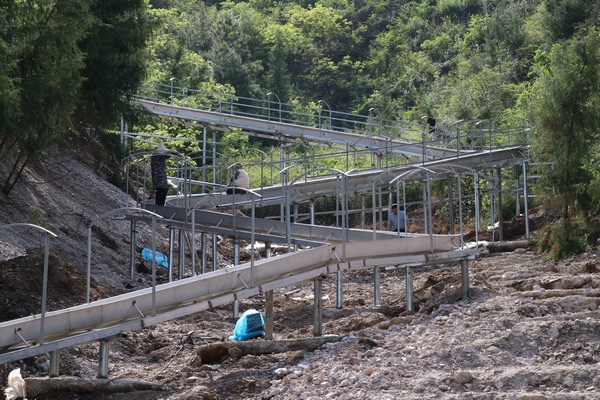 �����޽����P䓺�����