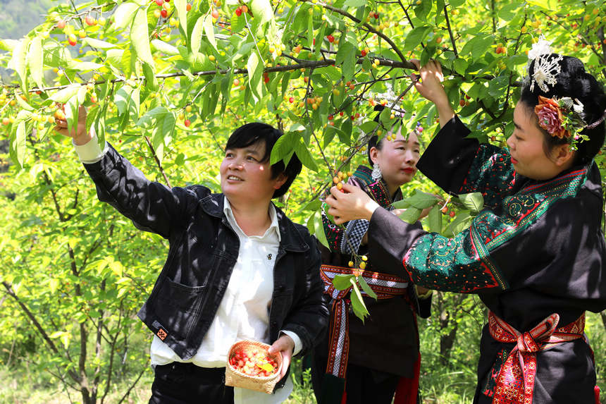 �����ڲ�ժ���ҡ�