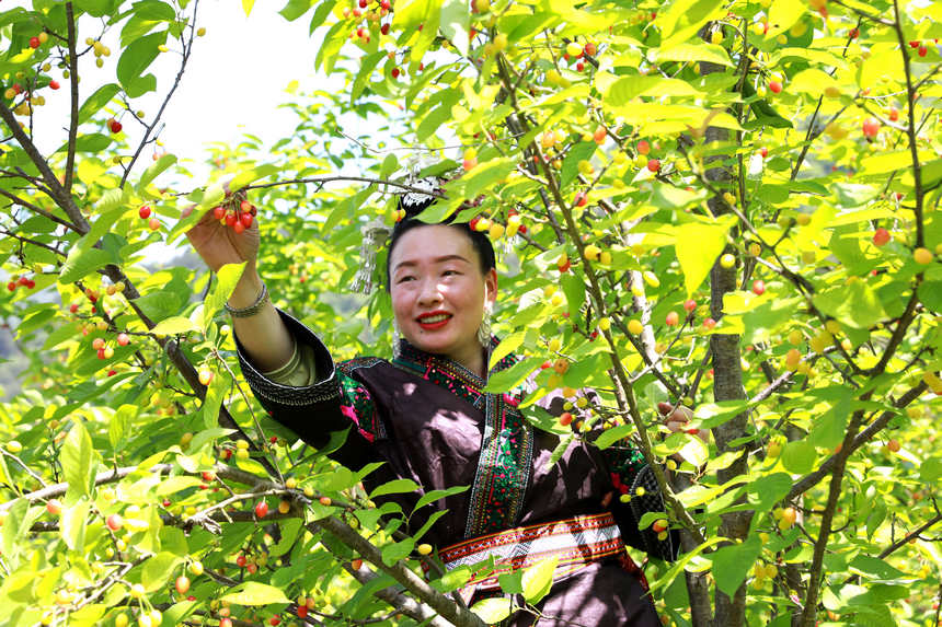 �����ڲ�ժ���ҡ�