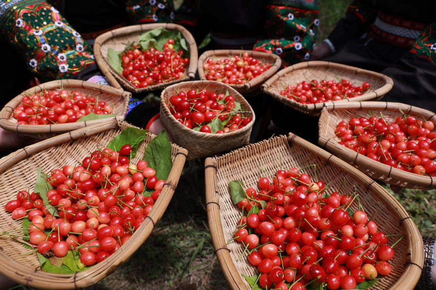 ����չʾ����ժ�ę��ҡ�