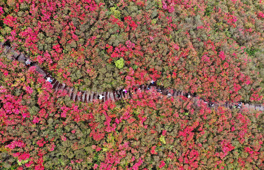 423գοFʡǭ|嶱ݵկhȪɽ^pNo˙CƬ  