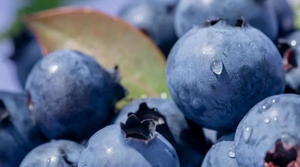 ��ˮ���ʺ󡱡����齭�{ݮ��