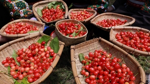 �F�݄��ӣ���ɽ���Ҽt ӳ�t�¸�·