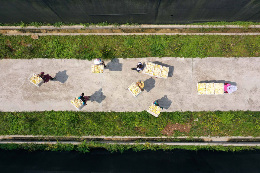 428գ_hĭ(yng)(zhn)ѴʳþNֲذ\(yn)So(w)˙C(j)Ƭ