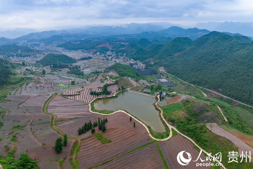 ɽеİG悲״rW Ϳz