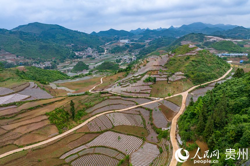 ɽеİG悲״rW Ϳz