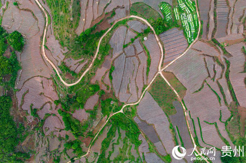 wĤr(nng)[?sh)ش¸ܴaW(wng) Ϳz