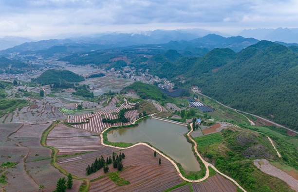 貴州興義：產業賦能鄉村振興