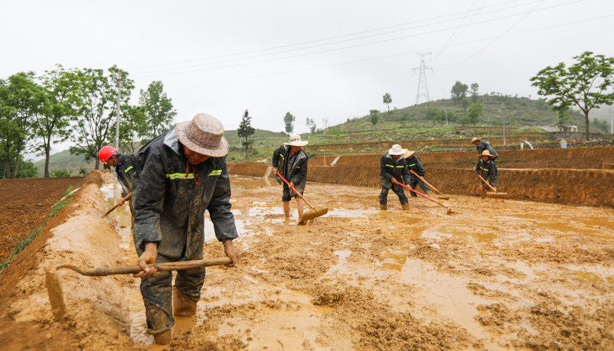 Fʡ󷽿hR(zhn)ɳȺMƽ˾z