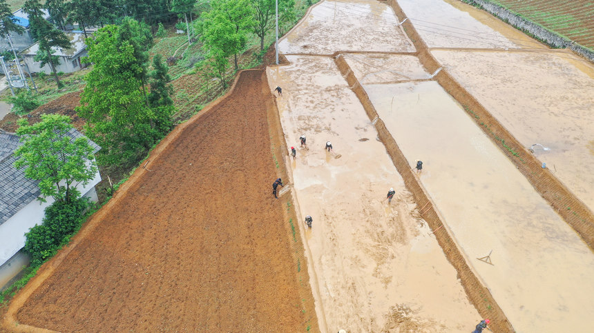 Fʡ󷽿hRɳ庵غġ˾z