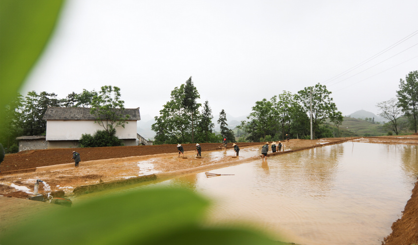 Fʡ󷽿hR(zhn)ɳȺM(jn)ƽ˾z