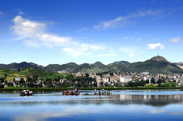 草海之夏。苗麒麟攝
