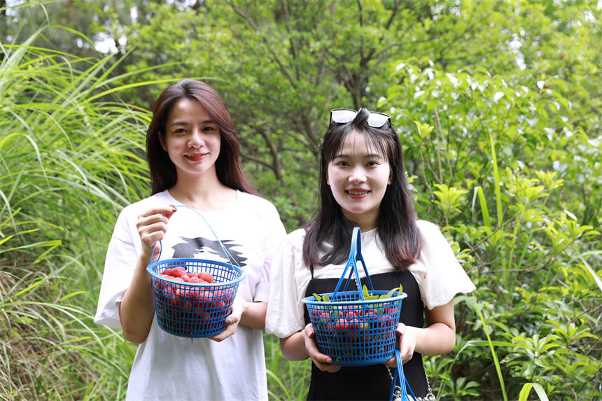 �ο���չʾ����ժ�ė�÷ ������ϔz