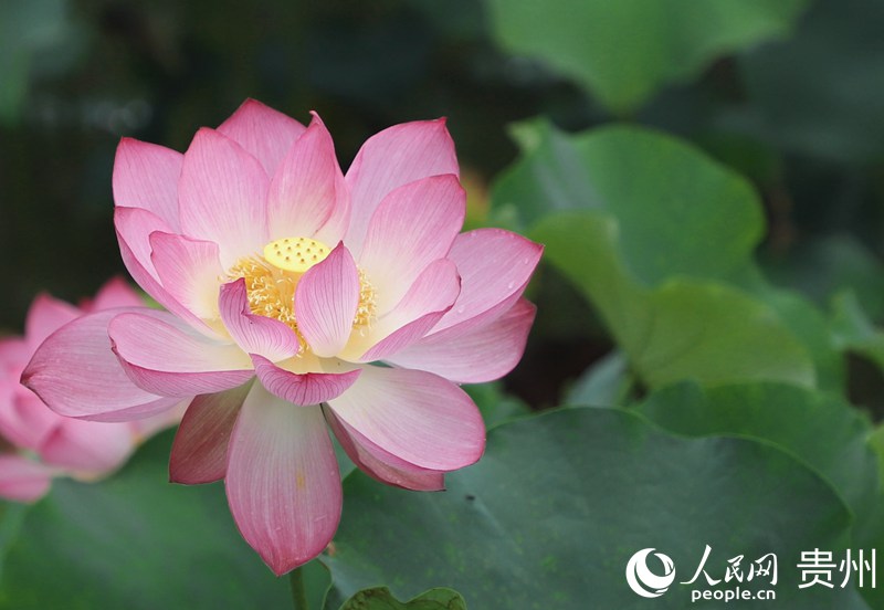 ʮӞ`ŵĺɻW mƔz