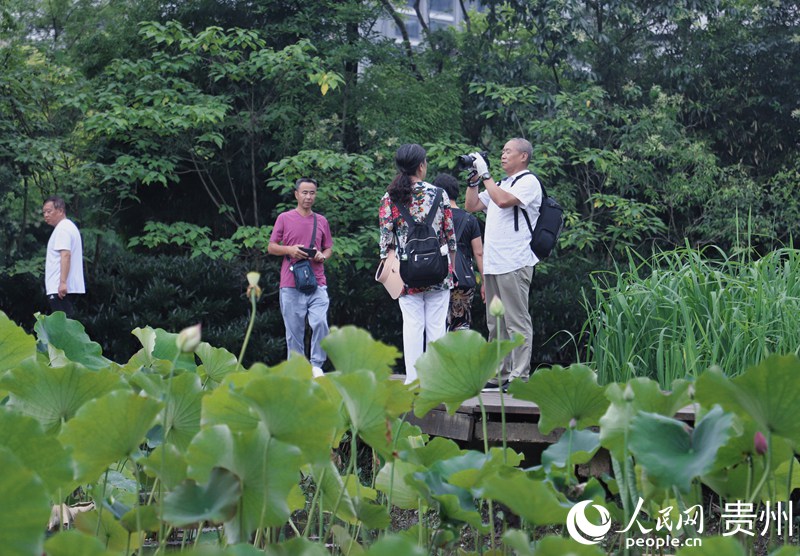 οʮӞpɡW(wng) mƔz