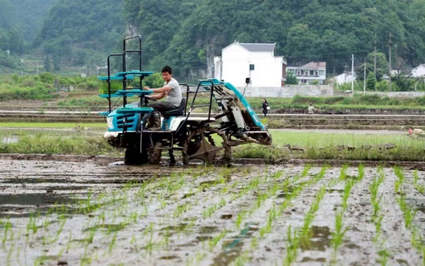 六盤水“十強(qiáng)化”穩(wěn)糧食生產(chǎn)保安全。